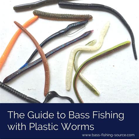 Guide to Worm Fishing [Kinda Effort] .